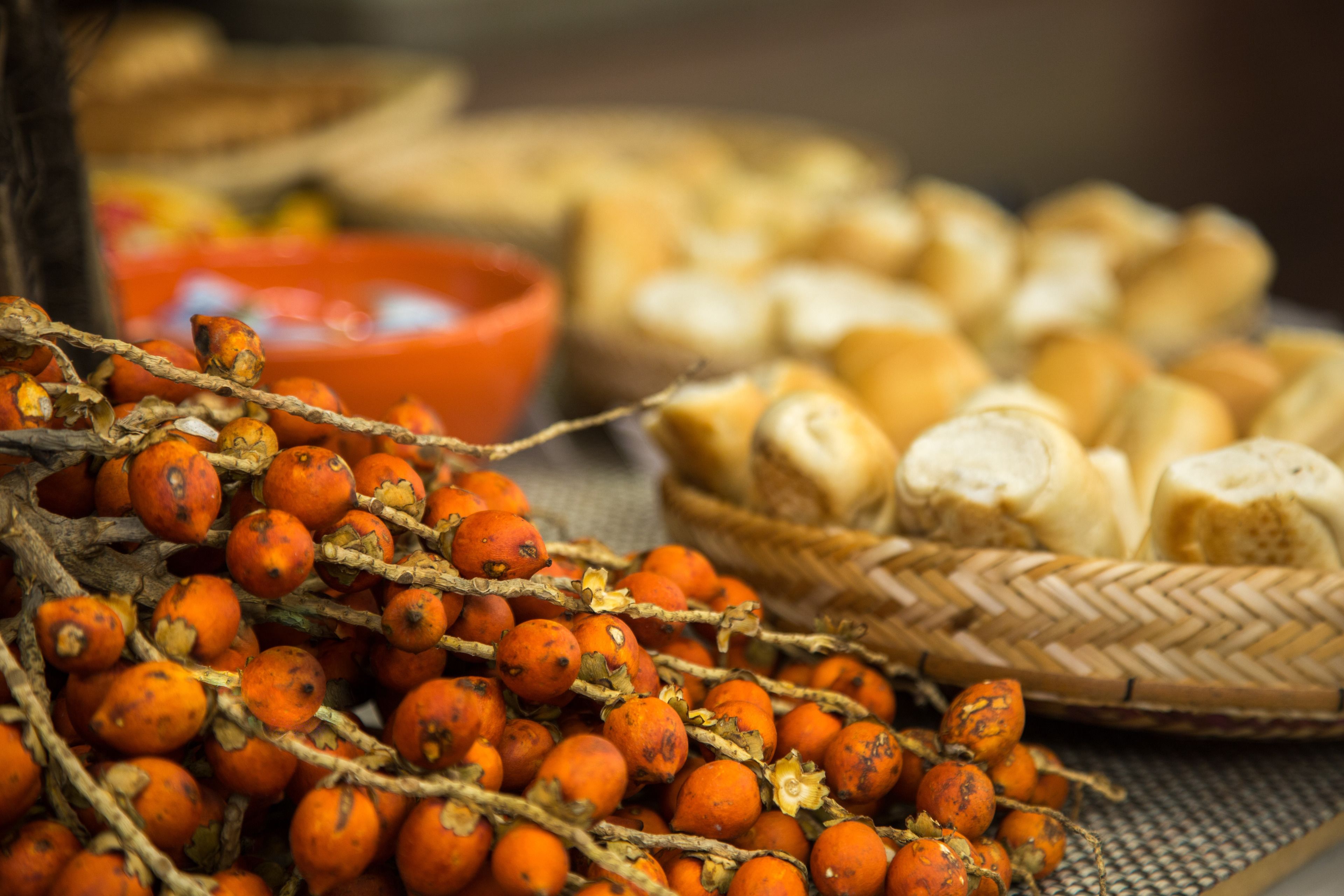 lunch and dinner served, regional cuisine