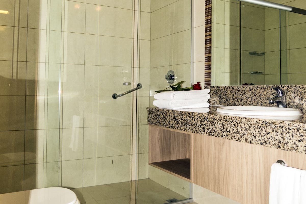 shower, free toiletries, hair dryer, towels