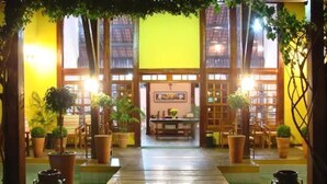A warmly lit indoor space with a central table and chairs, surrounded by potted plants and large windows.