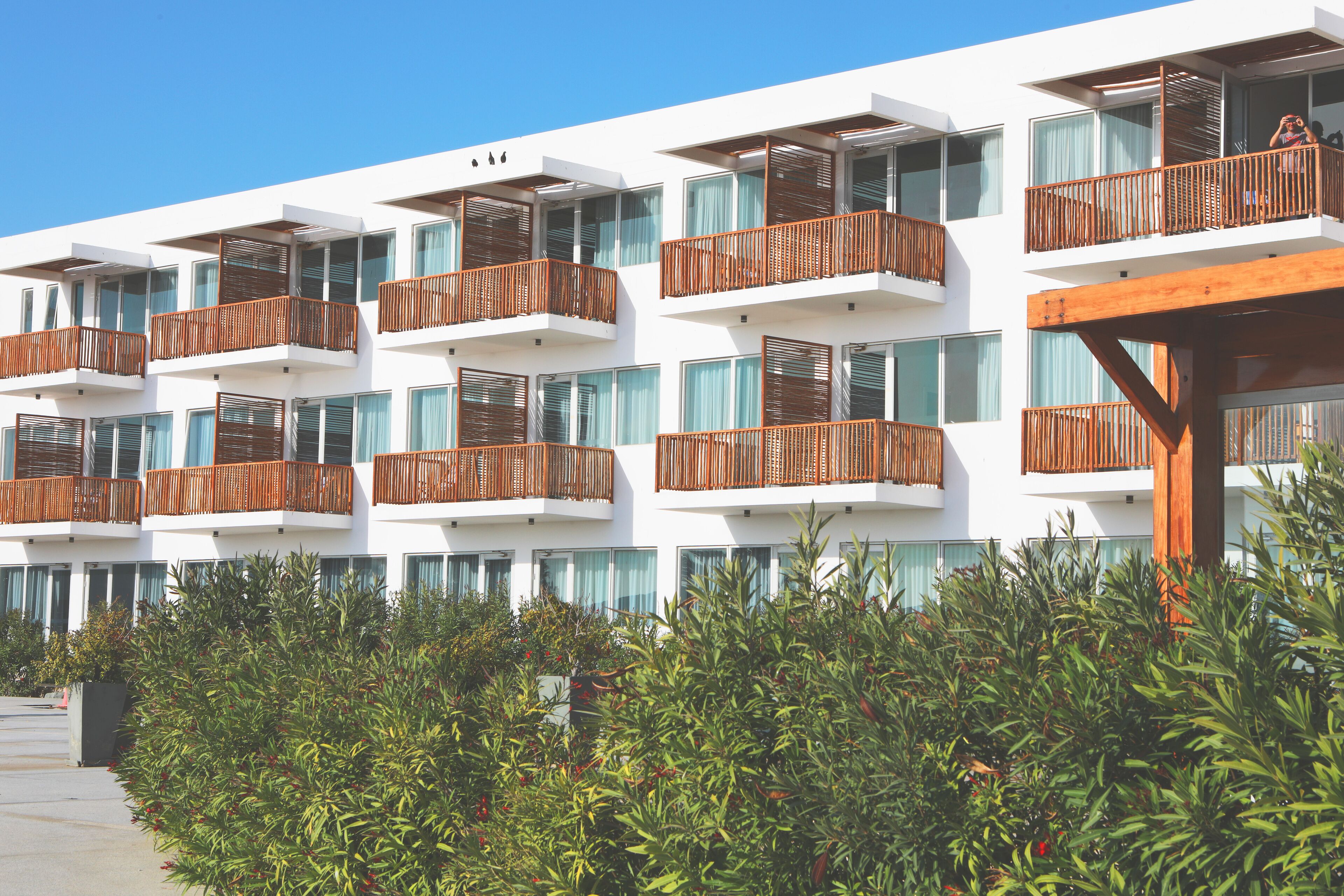 Un hotel moderno con varios balcones, ventanas amplias y abundante vegetación en primer plano.