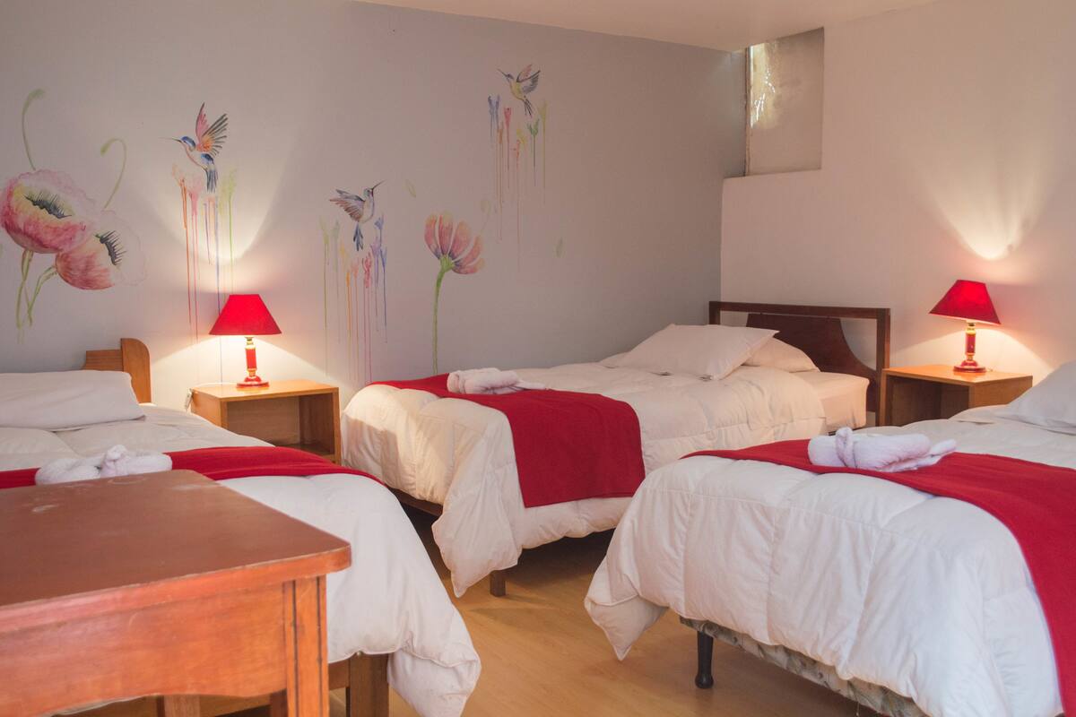 Triple Room | Gebar bulu kapas, Wi-fi percuma