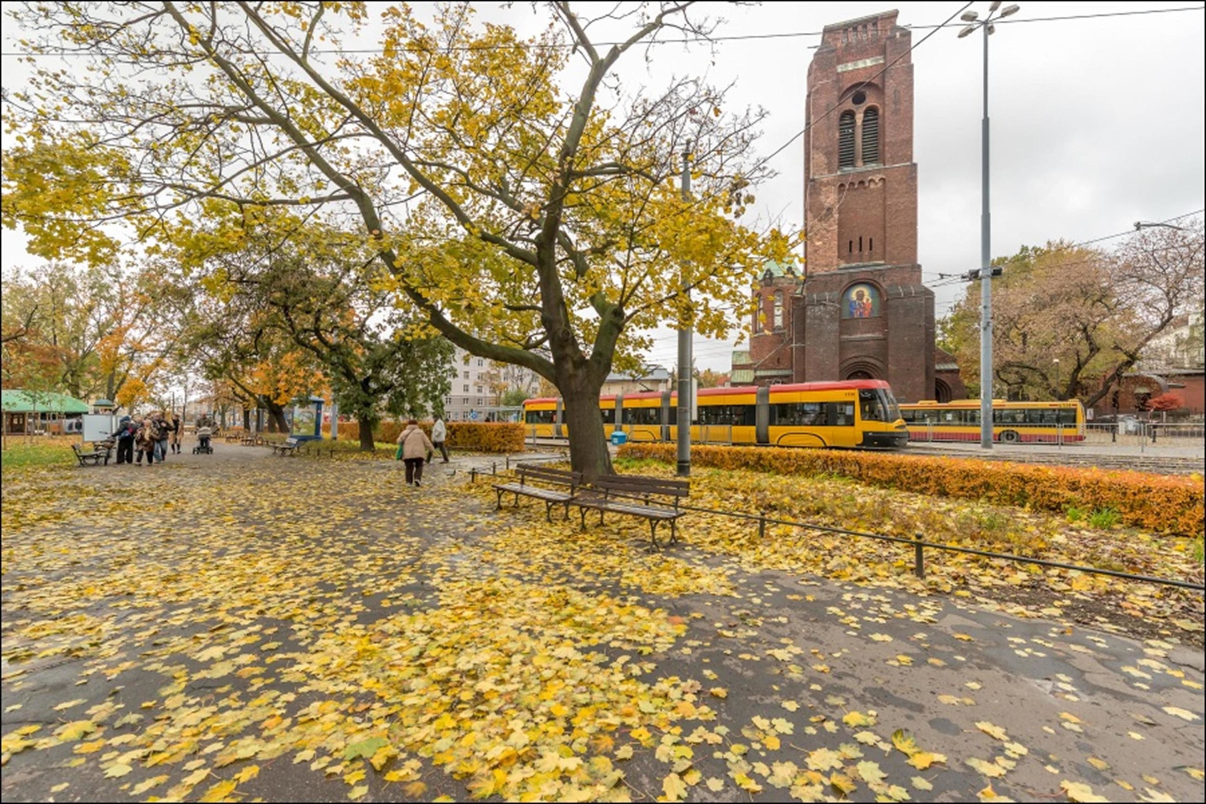 Un parc avec des bancs et un autobus jaune en arrière-plan.