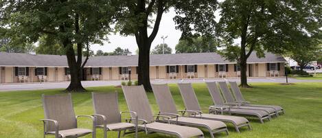 A row of lounge chairs in a grassy area with a building in the background.