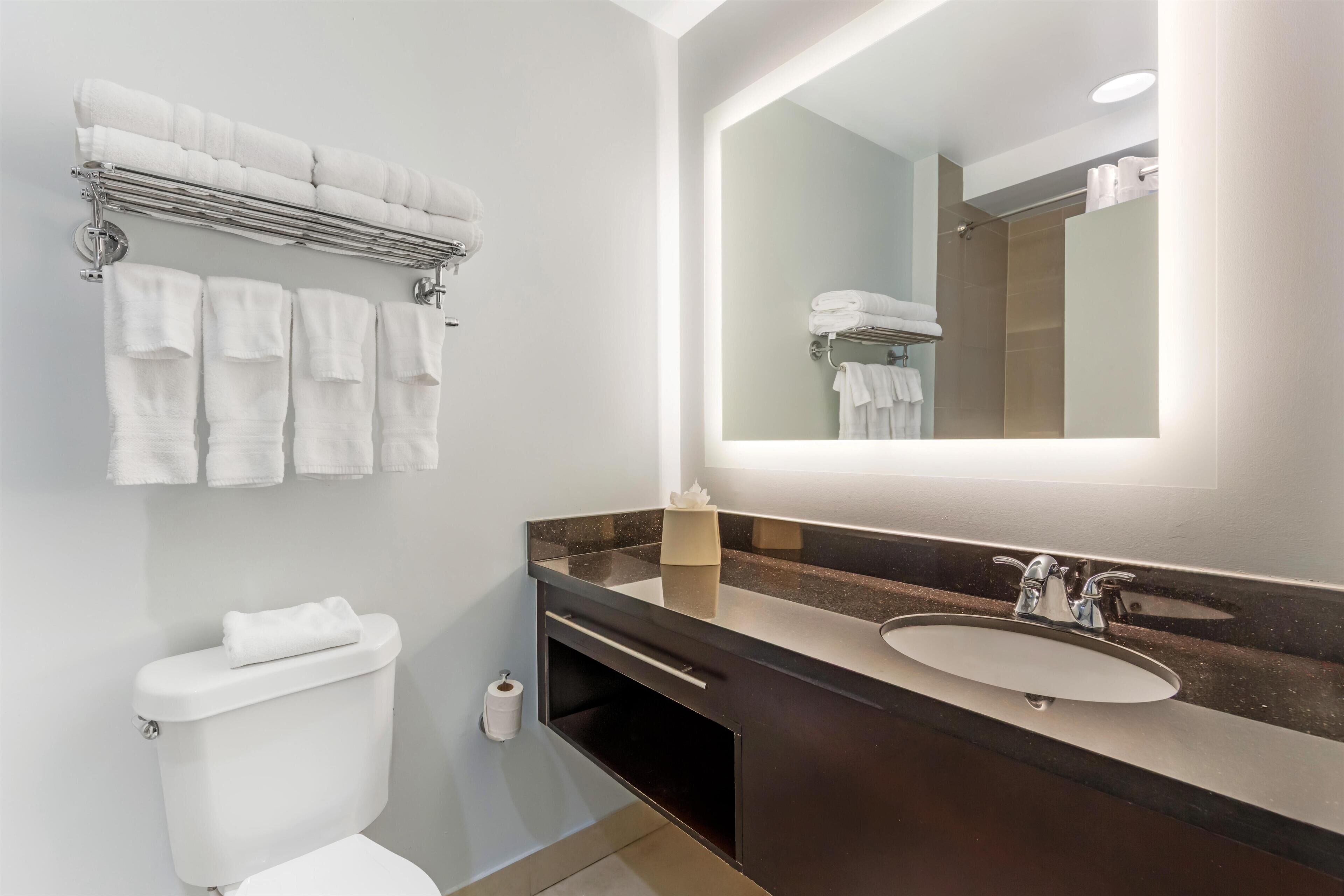 Combined shower/bathtub, free toiletries, hair dryer, towels
