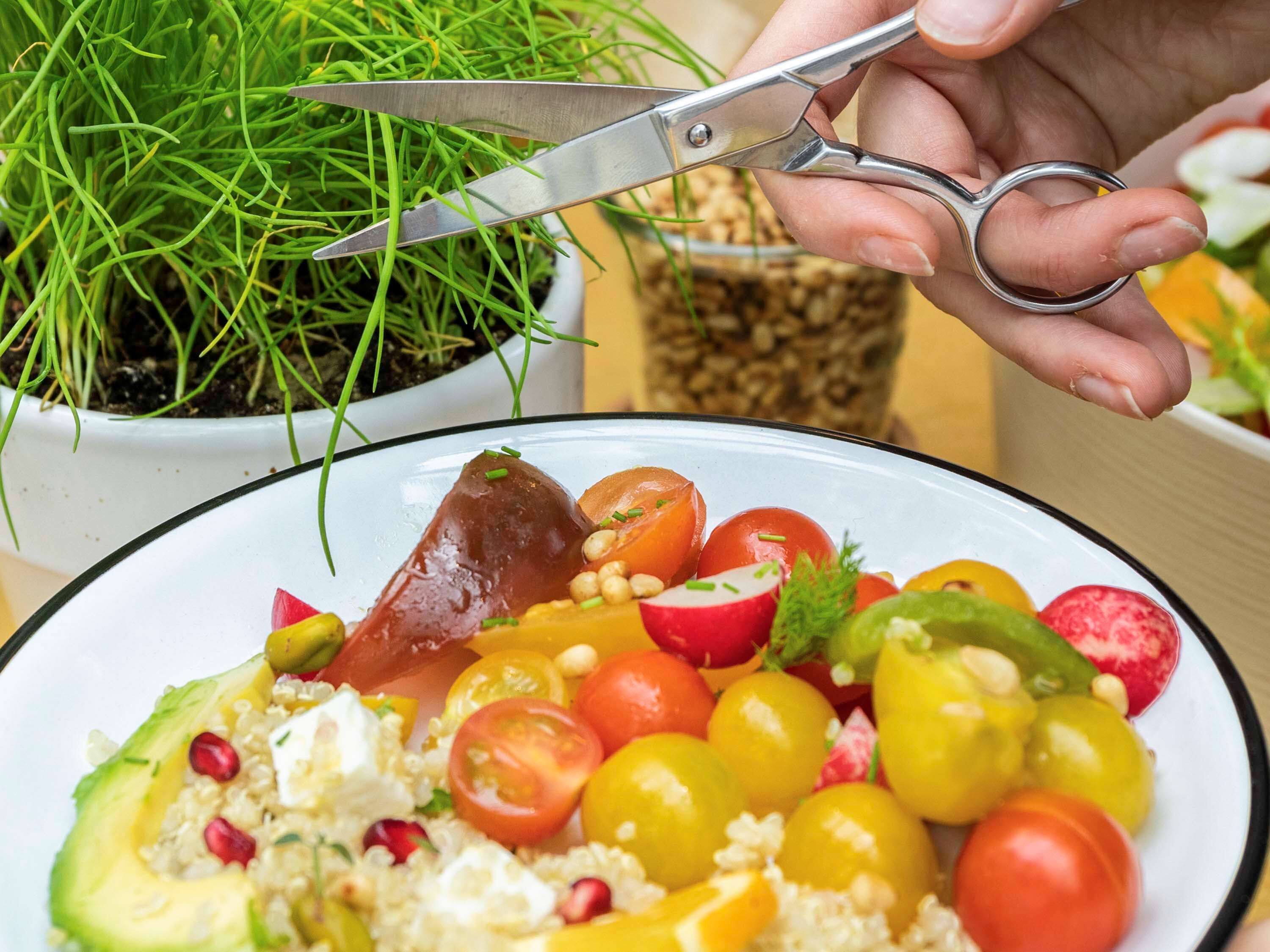 A hand holding a pair of scissors over a plate of colorful food.