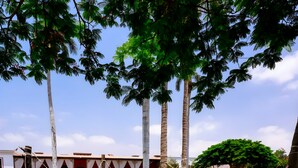A courtyard with palm trees, a hammock, and a building with a red facade. - Casa Hacienda San Jose (El Carmen)