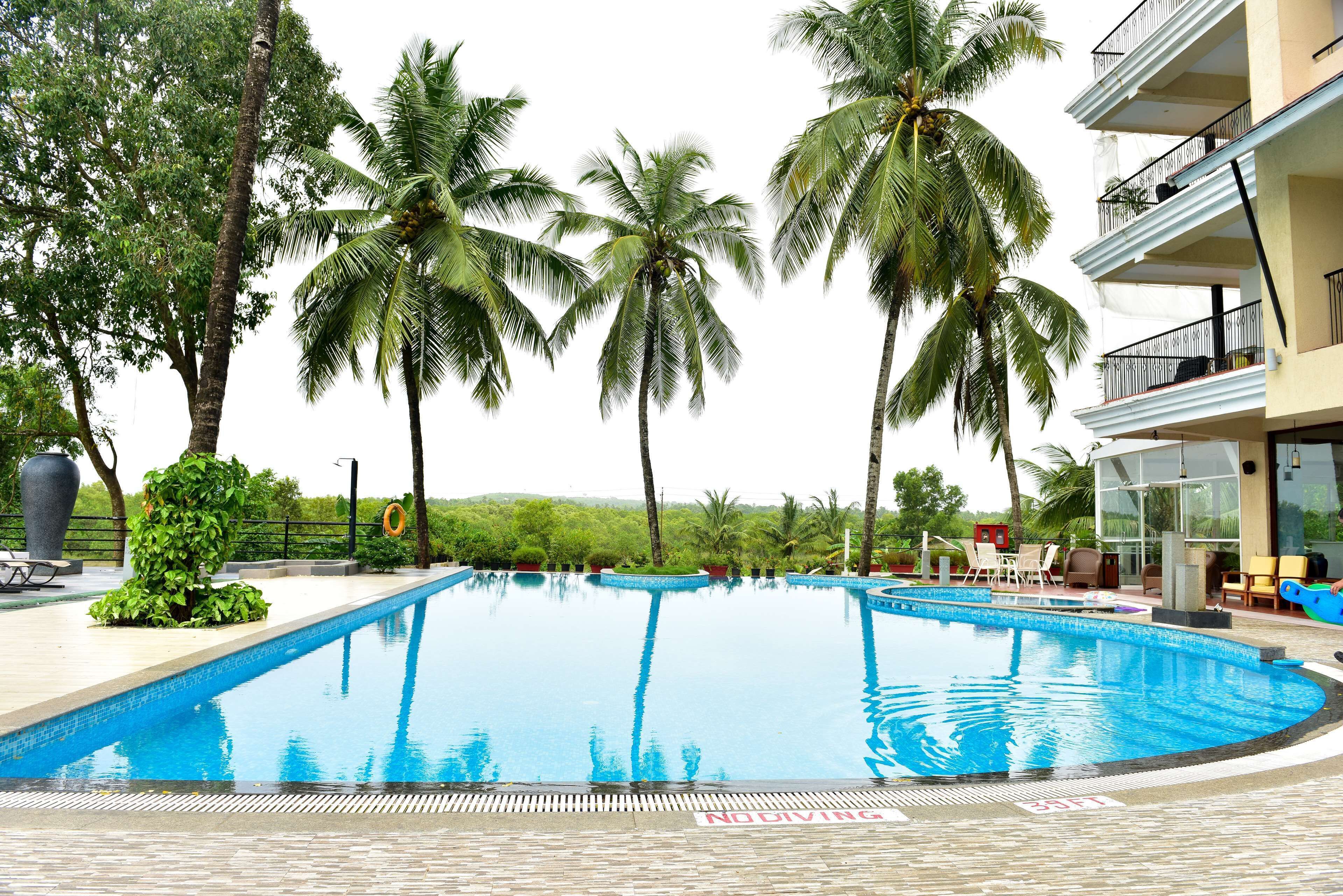 A swimming pool with a 'No Diving' sign, surrounded by palm trees and a building with balconies.