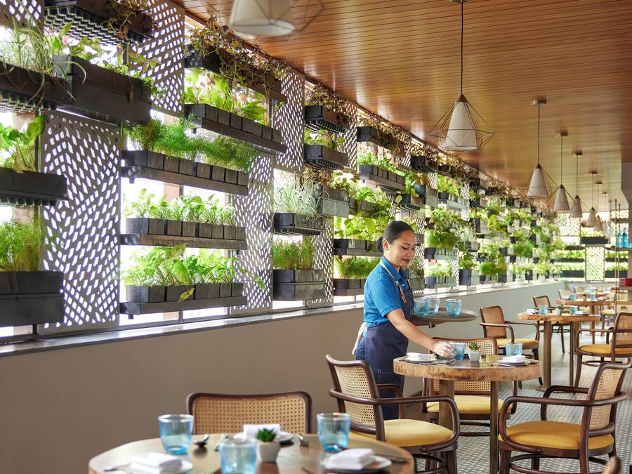 A restaurant with wooden ceiling, hanging plants, and round tables with chairs.