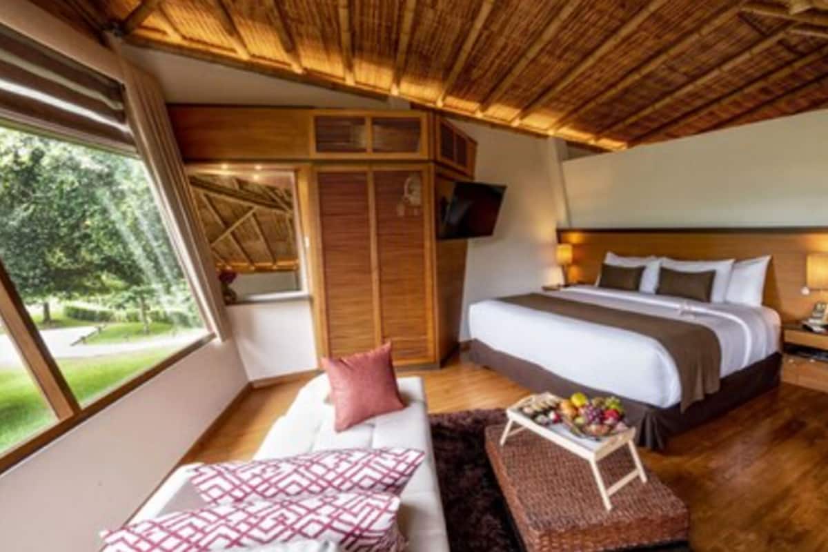 A bedroom with a large bed, a TV, a bedside table, and a window with a view of greenery.