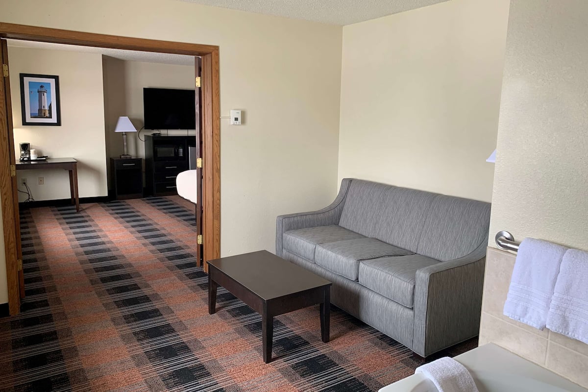 Un salon avec un canapé gris, une petite table, un tapis à motifs, un téléviseur et un tableau accroché au mur.
