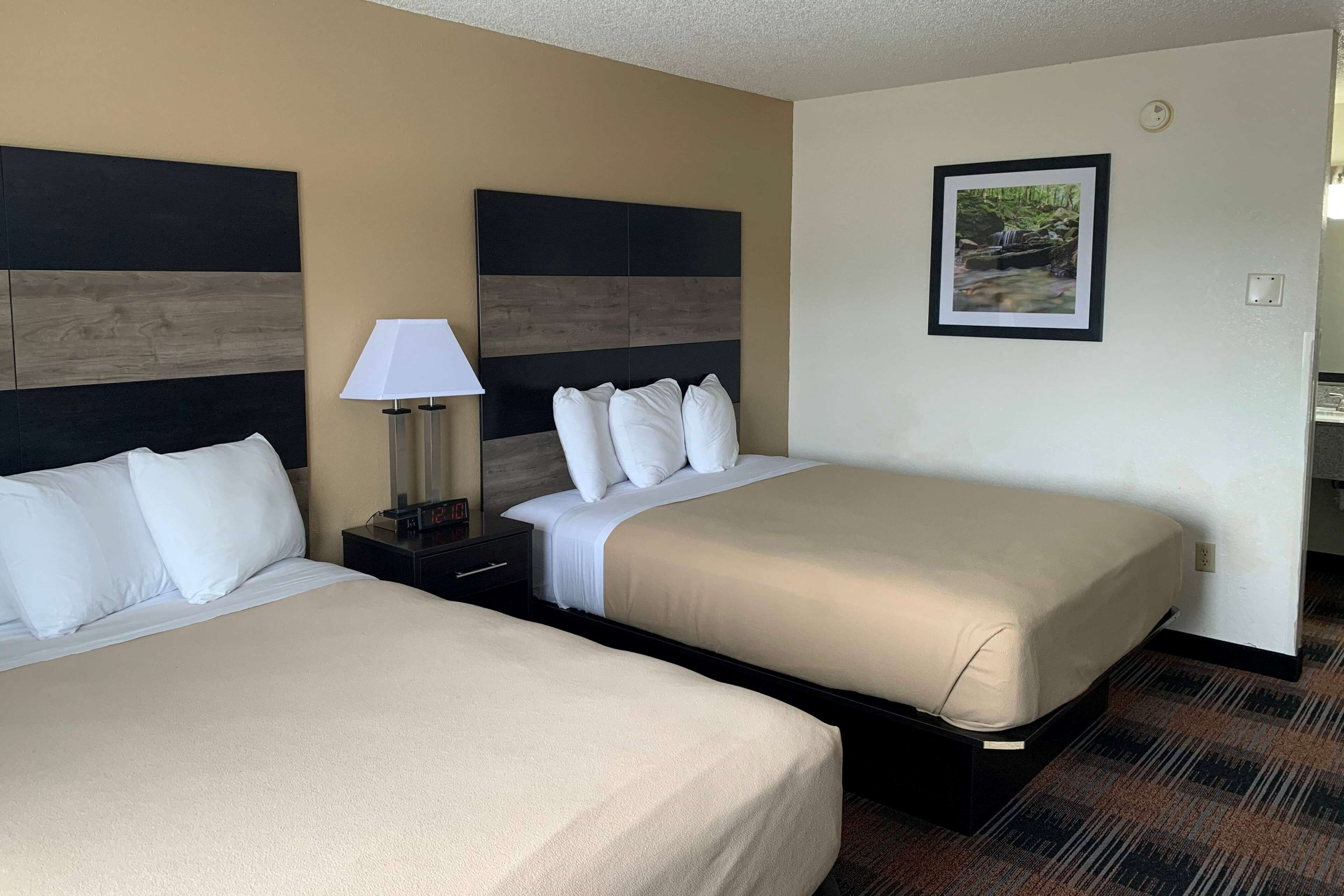 A hotel room with two beds, a nightstand with a lamp, a framed picture on the wall, and a carpeted floor.