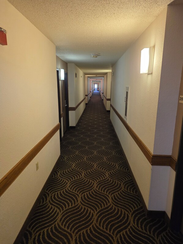 Un pasillo de hotel con pisos alfombrados, puertas a ambos lados y un accesorio de iluminación en la pared derecha.