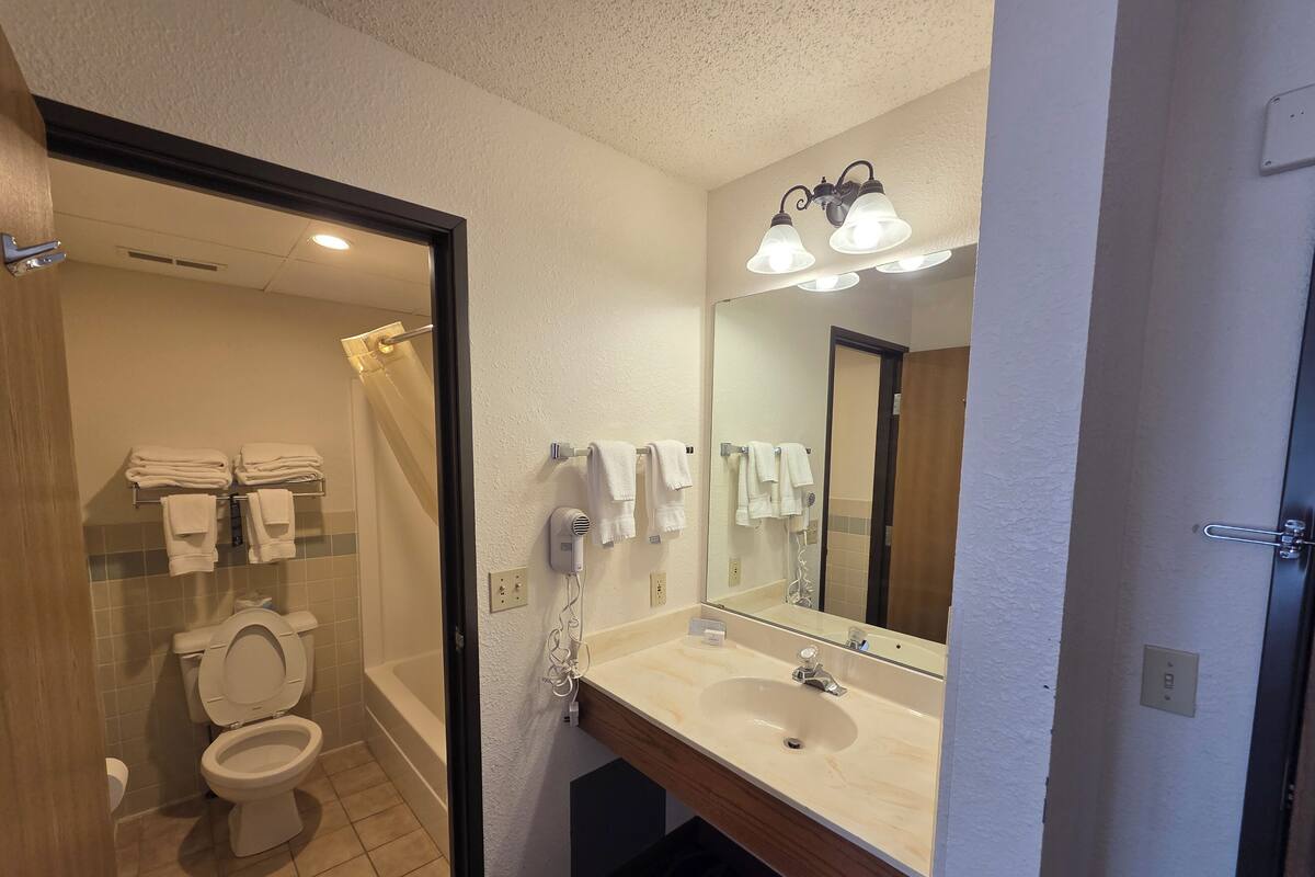 Une salle de bain avec des toilettes, un lavabo et un miroir.