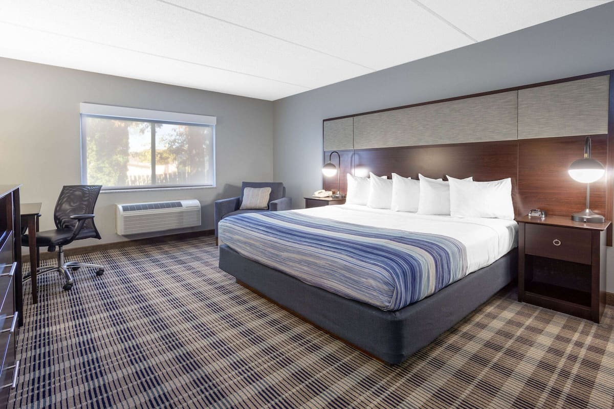 Room, 1 King Bed, Non Smoking | Desk, laptop workspace, iron/ironing board, free cribs/infant beds