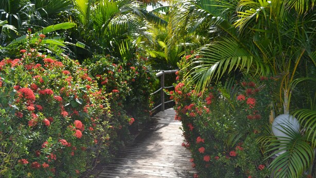 Garden - Hotel Cap Macabou (Le Vauclin)