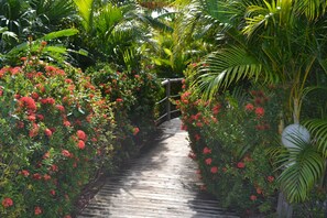 Garden - Hotel Cap Macabou (Le Vauclin)