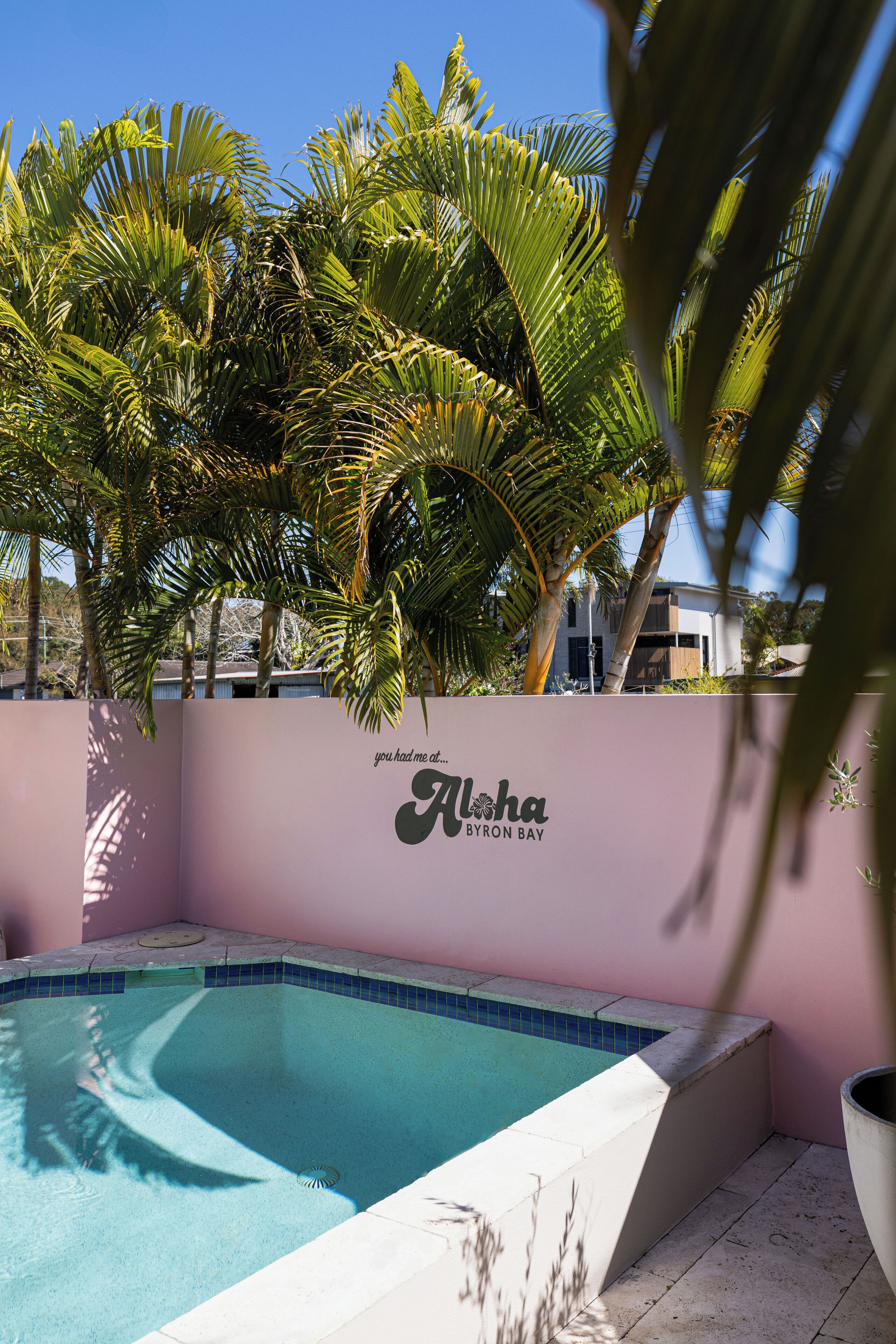 A swimming pool with a pink wall and palm trees.