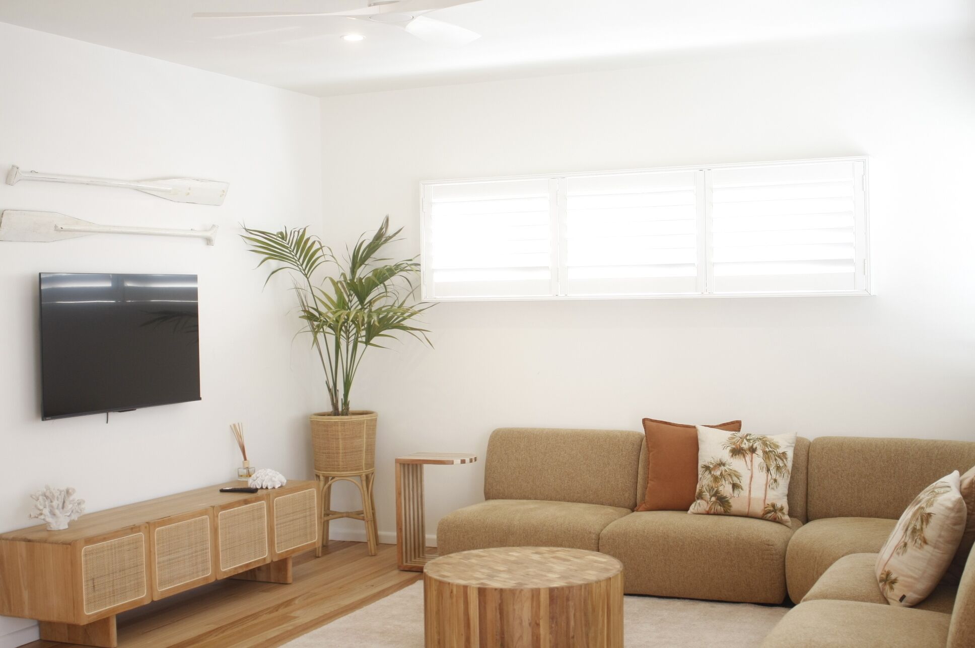 A modern living room with a flat-screen TV, a sofa, a coffee table, and a potted plant.