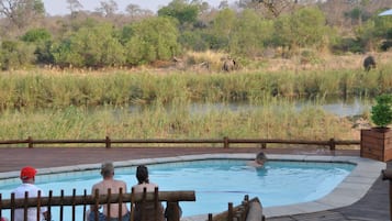 Outdoor pool, pool umbrellas, sun loungers