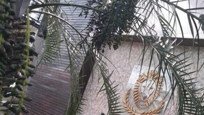A stone sign with the name "Maximus Service Hotel" surrounded by greenery and architectural elements. - Maximus Sottile Hotel (Ji Parana)