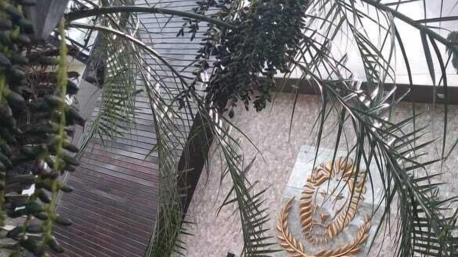 Maximus Sottile Hotel