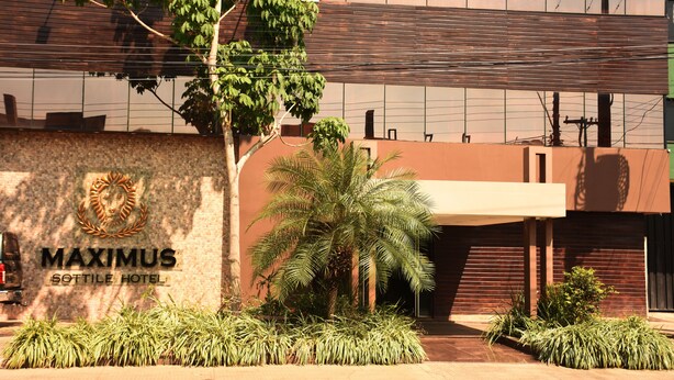 The exterior of the Maximus Sottile Hotel with a prominent logo, a palm tree, and a modern building facade. - Maximus Sottile Hotel (Ji Parana)