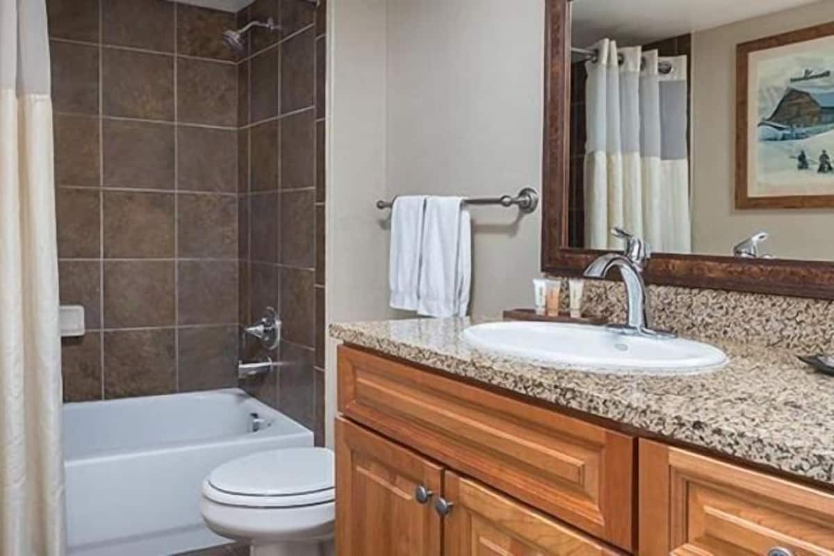 シャワー付き浴槽、バスアメニティ (無料)、ヘアドライヤー、タオル