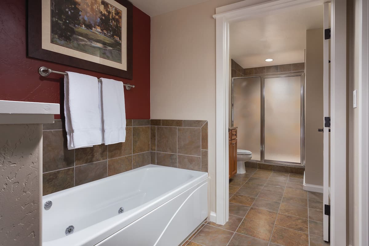 combined shower/bathtub, free toiletries, hair dryer, towels