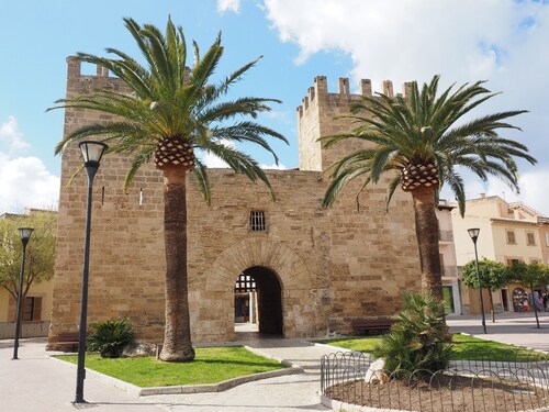 Alcudia Petit