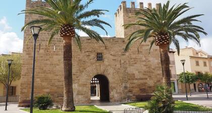 Alcudia Petit