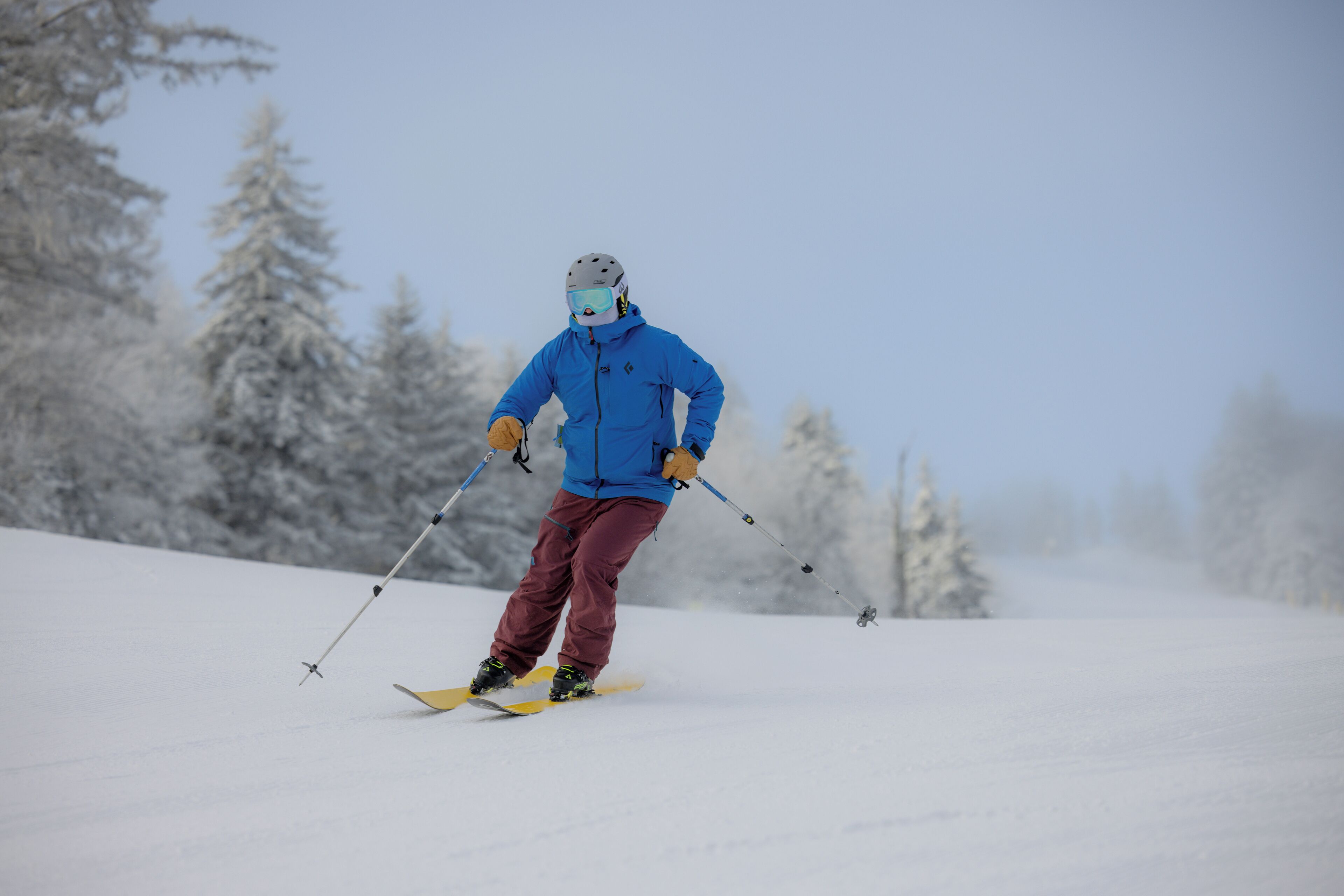A person skiing on a snowy slope with trees in the background.
