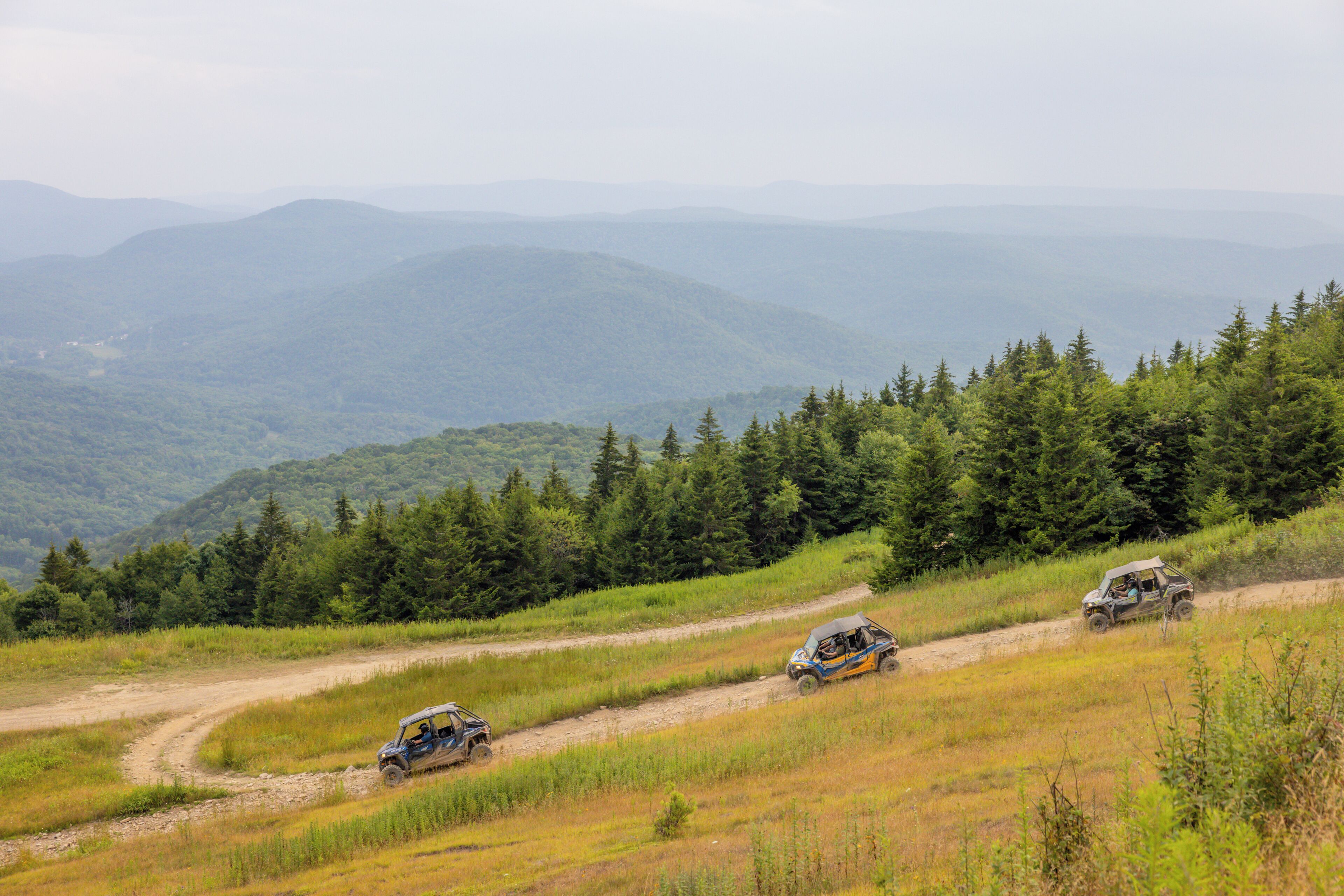 A dirt road winding through a hilly landscape with dense forests on either side.