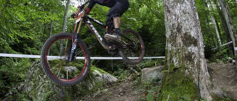 A mountain biker navigating a dirt trail in a forested area with trees and natural terrain.