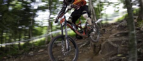 A mountain biker on a dirt trail surrounded by trees.