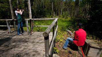 A wooden deck with a person aiming a bow, another person sitting on a stool, and a forested area in the background.