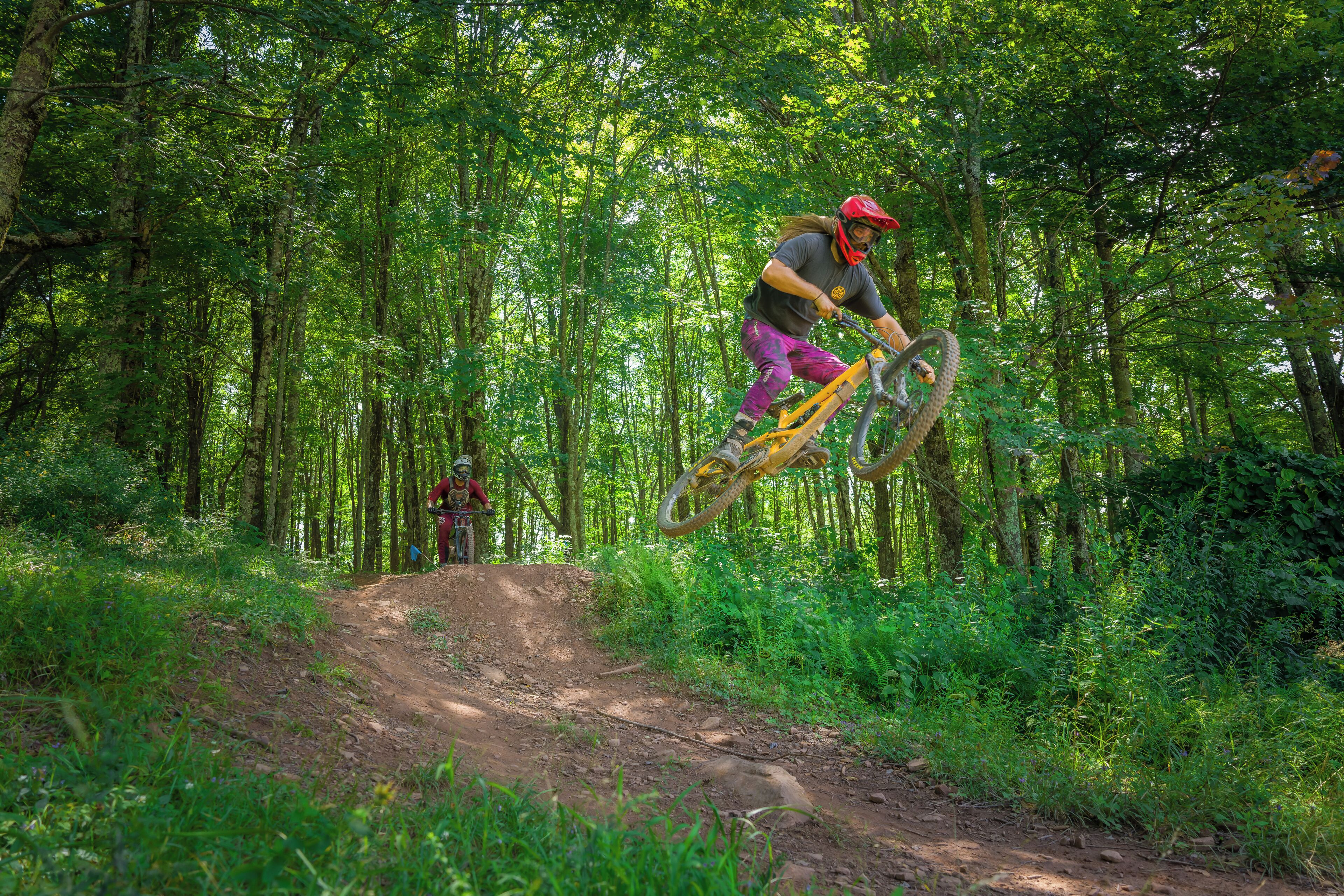 Une personne à vélo tout-terrain effectue un saut sur un sentier accidenté dans une zone boisée.