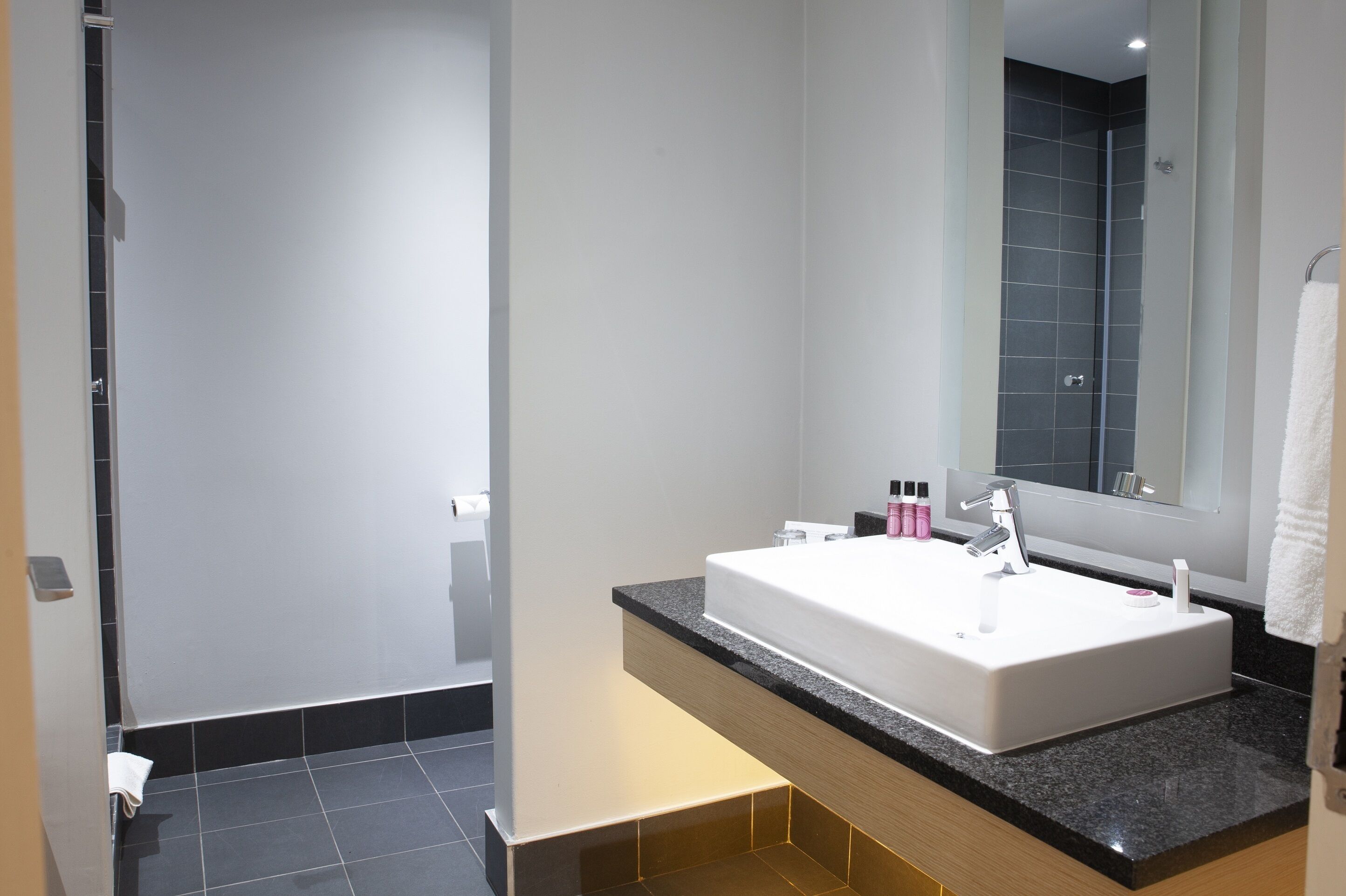 deluxe double room | bathroom | free toiletries, hair dryer, towels