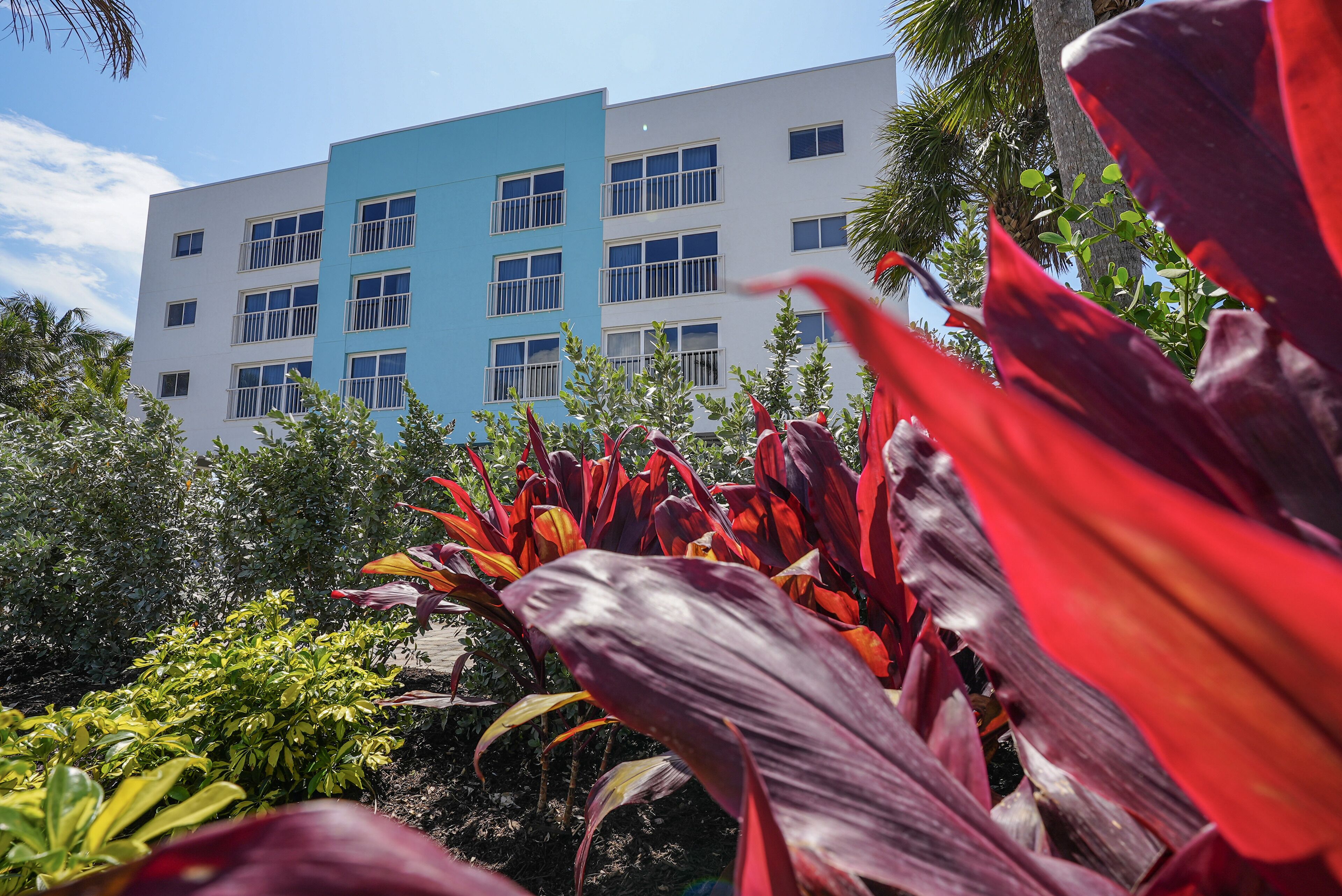 A modern building with a blue and white facade, surrounded by lush tropical plants.