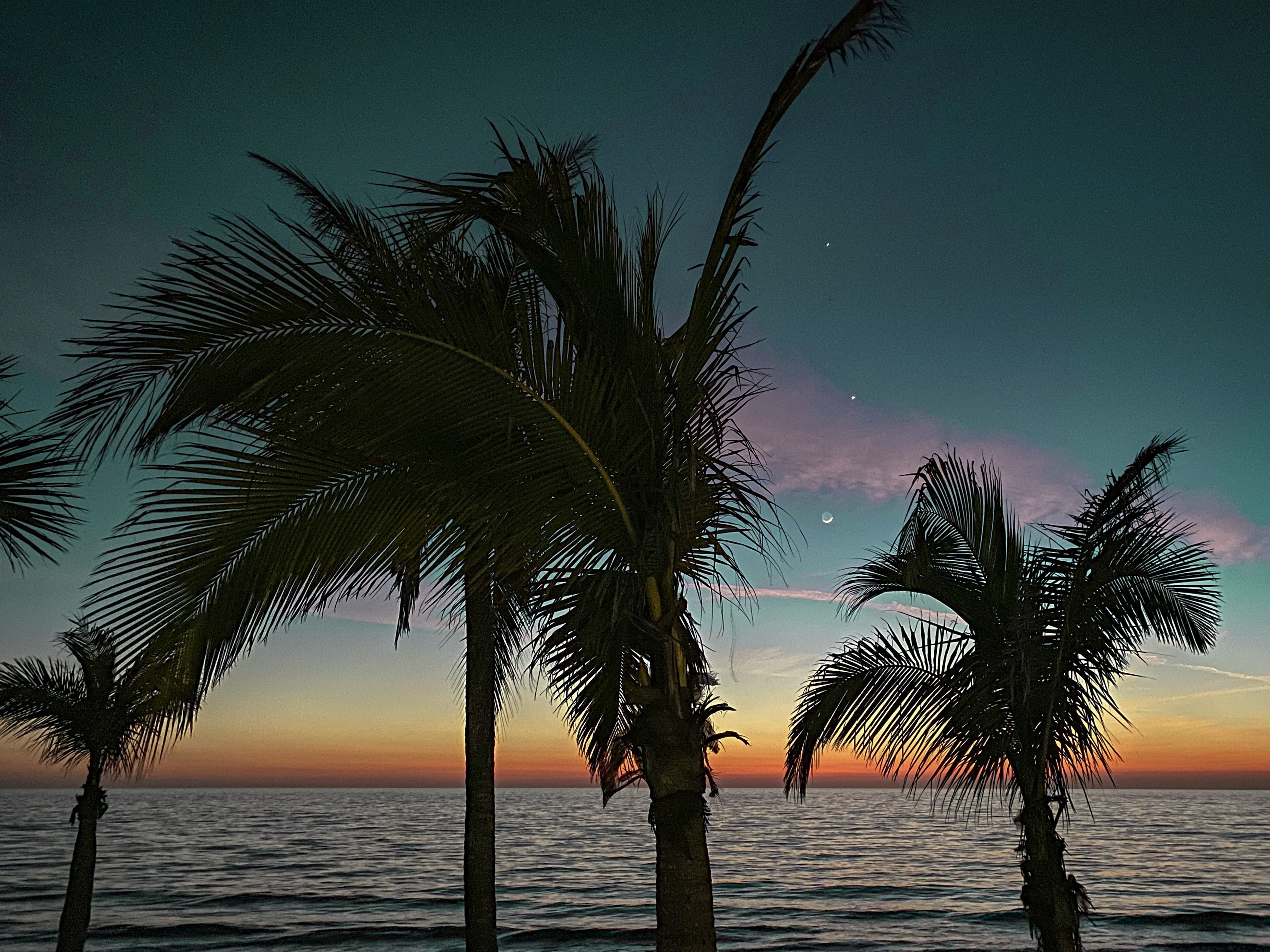 private beach, surfing, kayaking, rowing