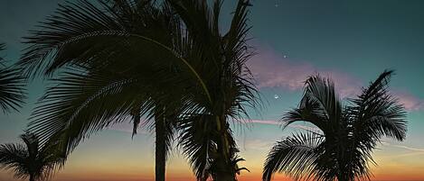 A sunset view with palm trees and calm sea.