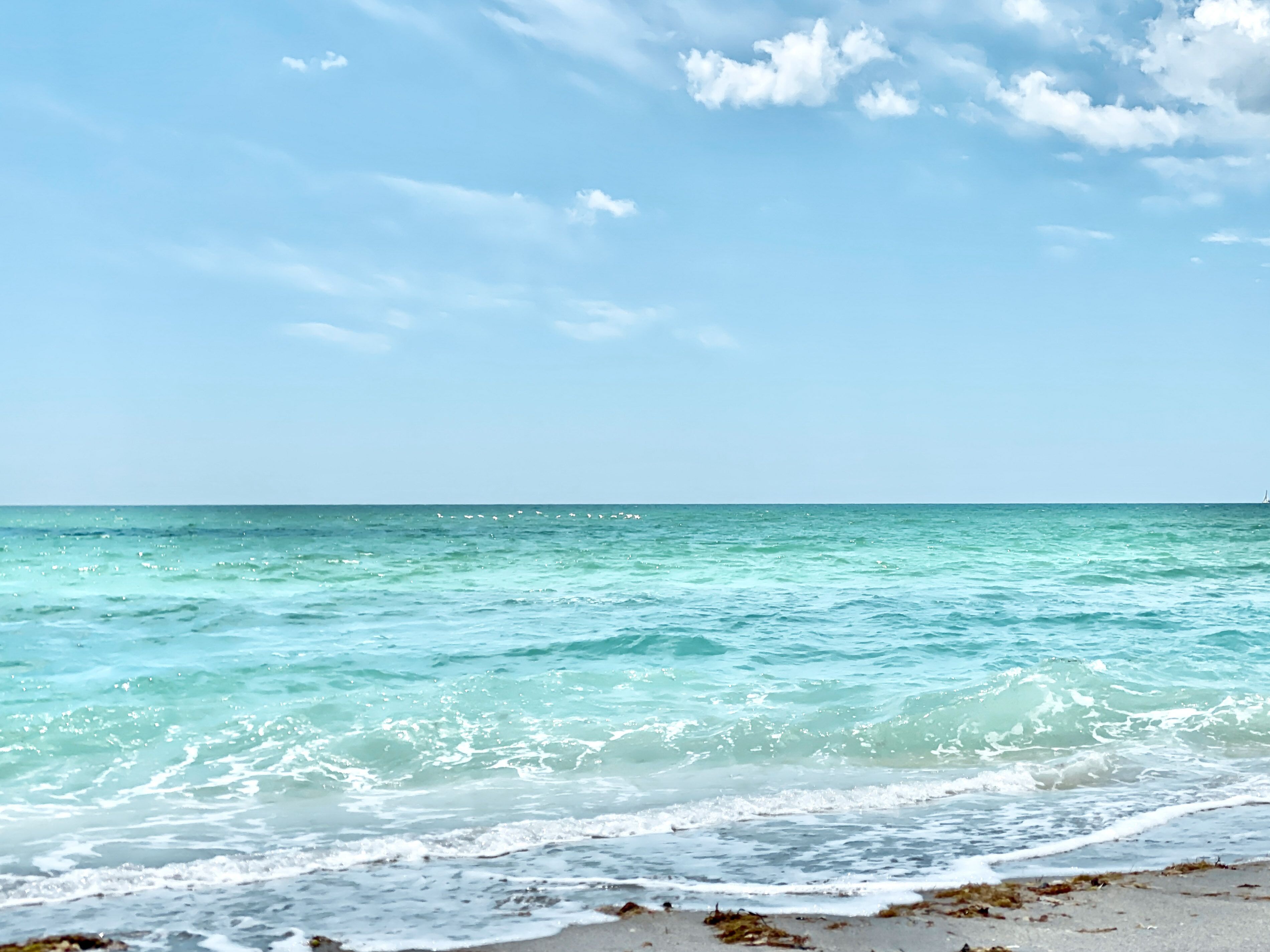 A beach with clear turquoise water and a sandy shore.