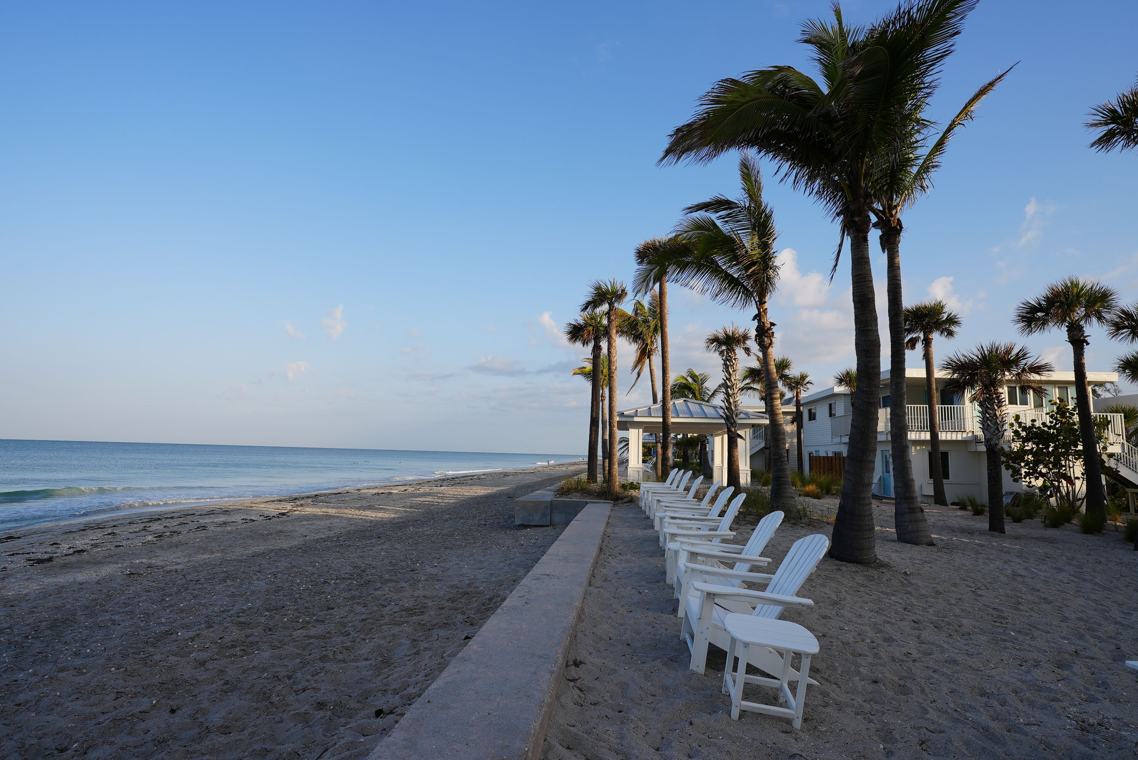 Une plage avec des chaises longues blanches et des palmiers, un ciel dégagé et un bâtiment en arrière-plan.