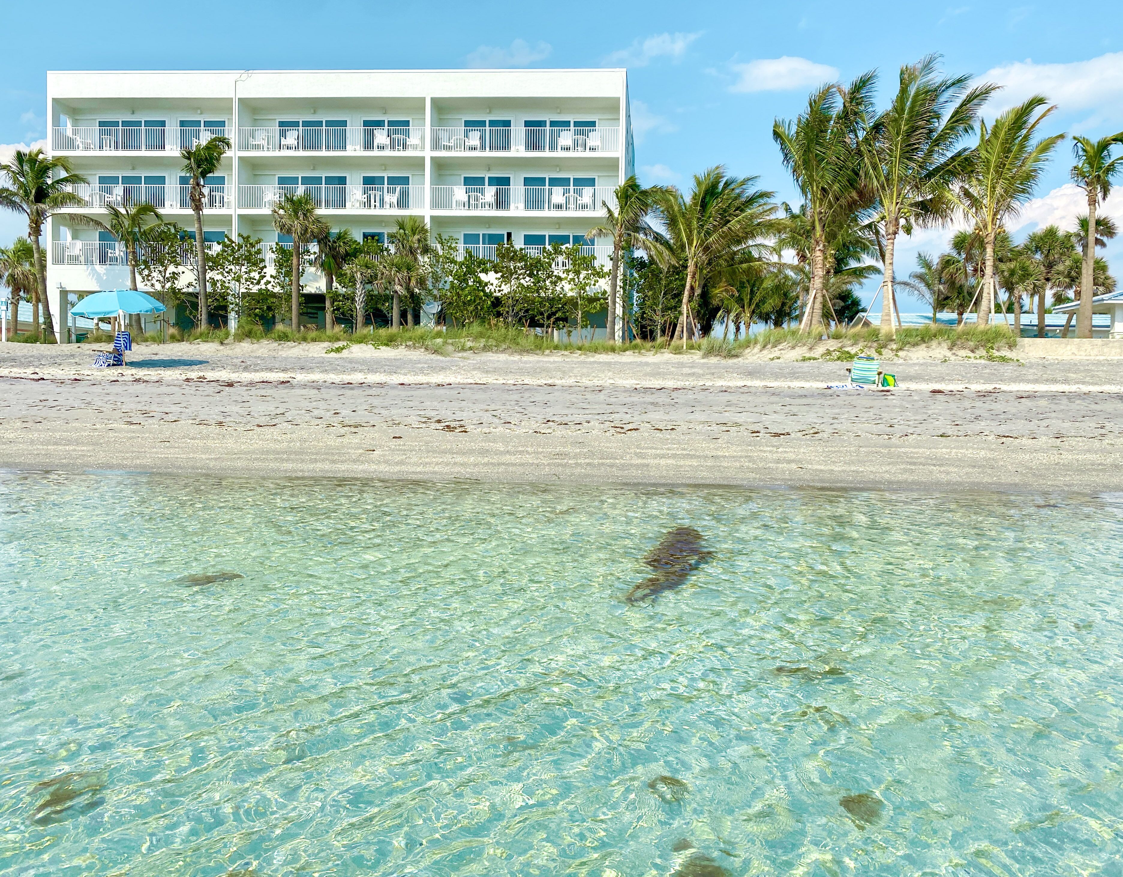 A beachfront hotel with clear water, palm trees, and a white building with balconies.