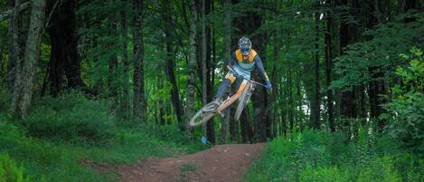 Een mountainbiker in de lucht op een bospad, omringd door dicht bos.