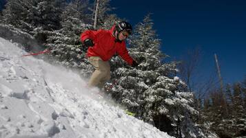 A person skiing down a snowy slope with trees in the background.