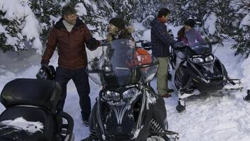 Snowmobile