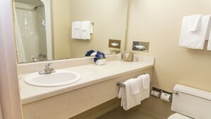 Une salle de bain équipée d’un lavabo, d’un miroir, de toilettes et d’un porte-serviettes.