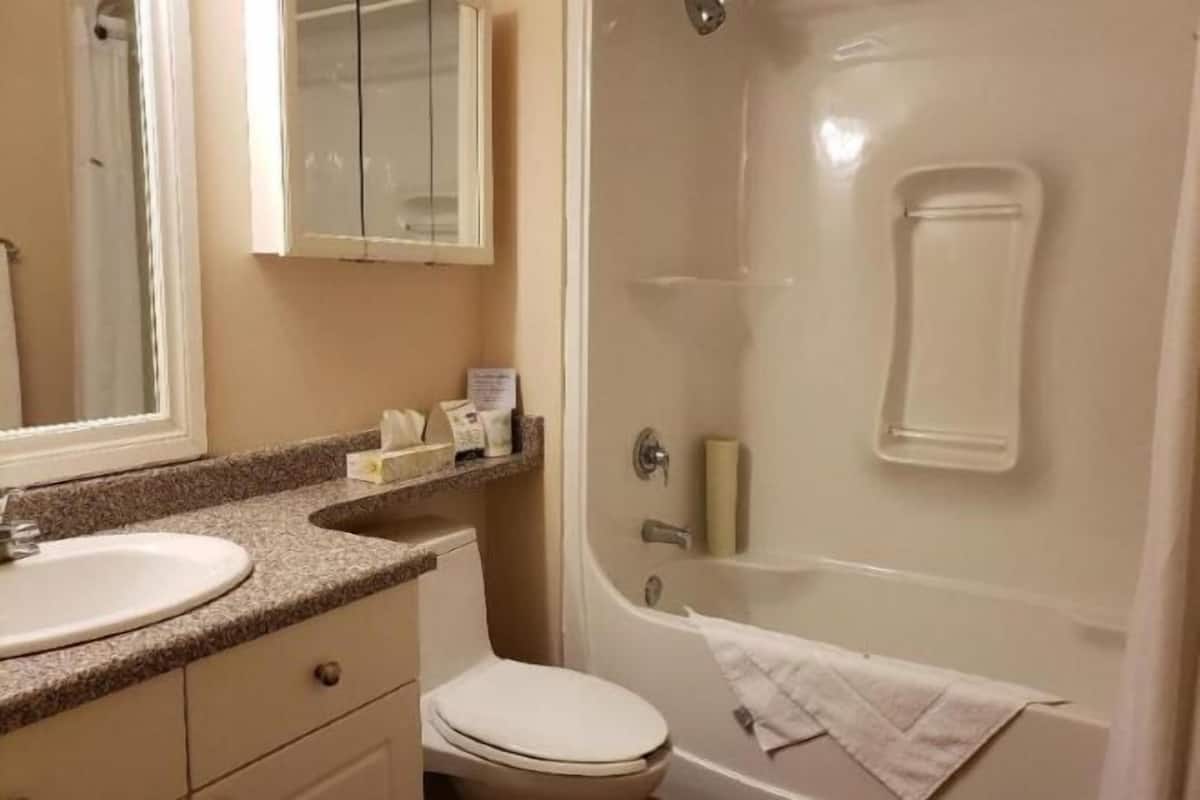 Bathroom | Combined shower/tub, free toiletries, hair dryer, towels
