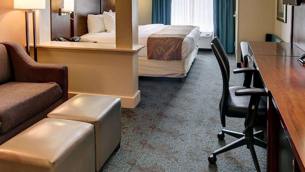 Una habitación de hotel con cama, escritorio, sillón, sofá y televisor.
