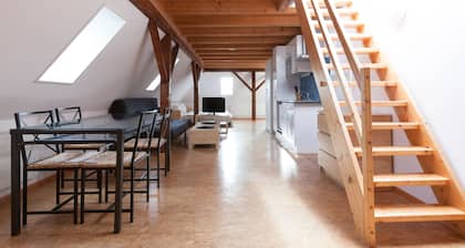 Apartments Swiss Star Sihlfeld